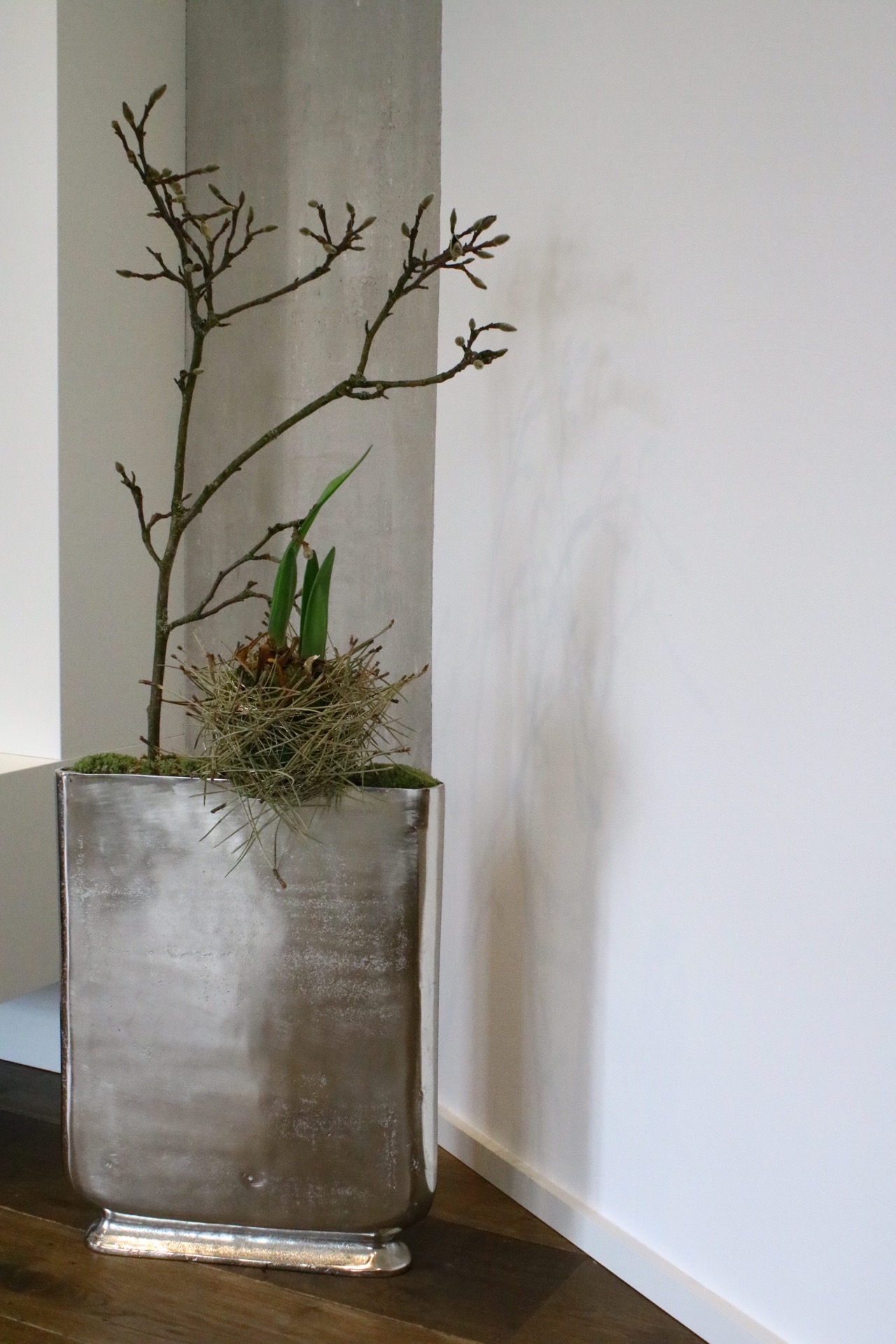Bild einer Vase vor einer Wand
