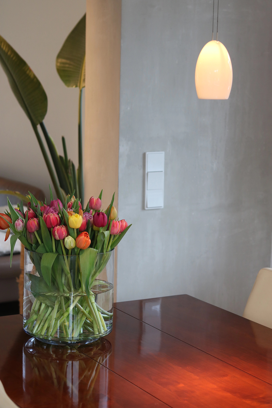 Bild einer Vase mit Tulpen